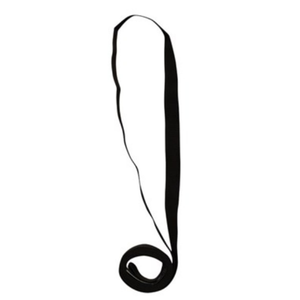 Picture of LINQ ANCHOR STRAP ENDLESS ROUND 25MM, 1.5M