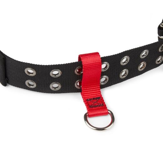 Picture of BELT-LOOP ANCHOR